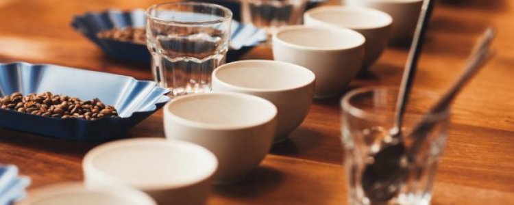 cupping koffie